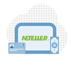 3. wprowadz dane netteller